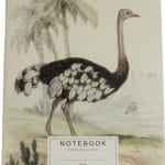 ? la Notebook  Ostrich
