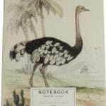 ? la Notebook Ostrich
