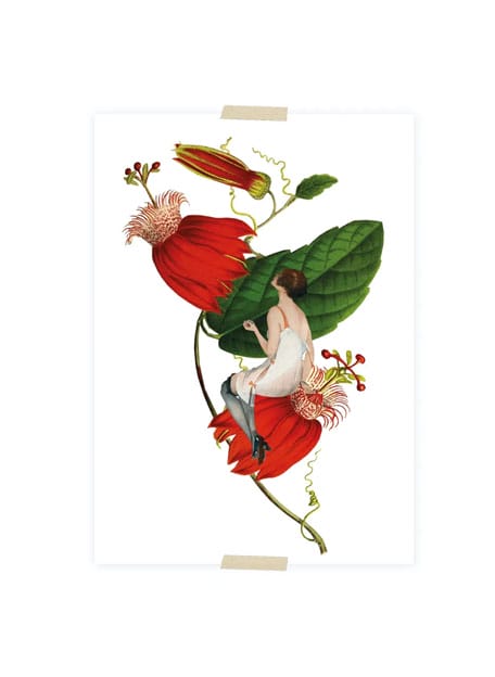 Lylies  - Ansichtkaart Passiebloem En Vrouw