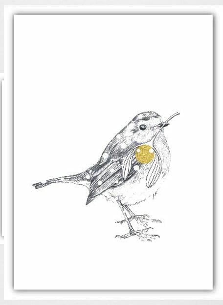 Ansichtkaart Roodborst - Dreamlabel