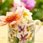 Emma Bridgewater | Cowslips & Wild Violets Small Mug
