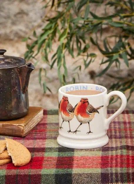 Birds Robin 1/2 Pint Mug - Emma Bridgewater