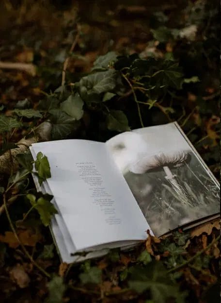 Als De Wind - Little Universe - Afbeelding 2