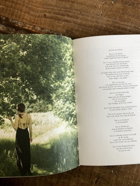 De Wereld Van Het Hart - Little Universe - Afbeelding 2