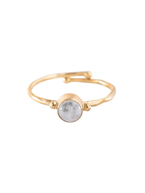 Faithful Maansteen Vergulde Ring - A Beautiful Story - Afbeelding 3