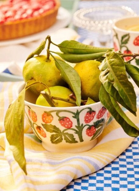 Raspberries Small Old Bowl - Emma Bridgewater