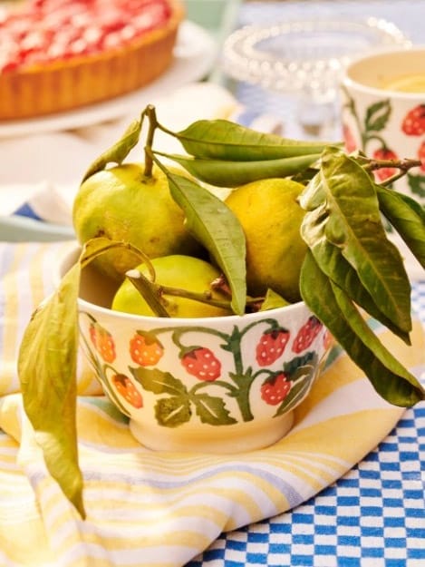 Raspberries Small Old Bowl - Emma Bridgewater