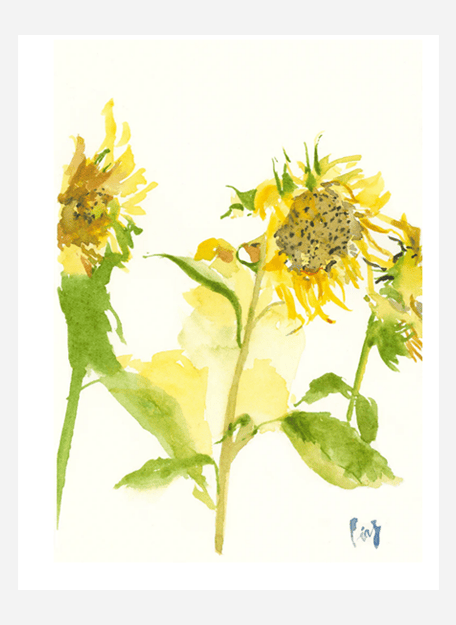 Ansichtkaart Sunflowers - Ping He Art