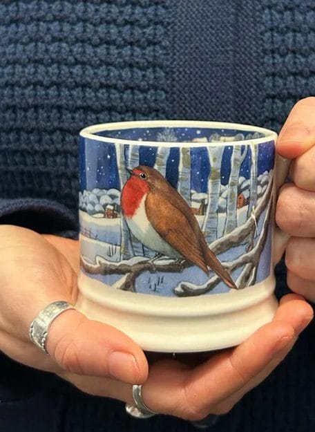 Midnight Robin Small Mug - Emma Bridgewater