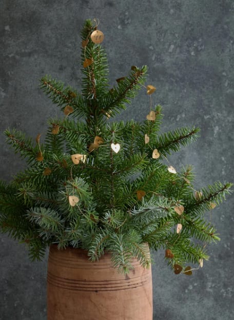 Hearts Slinger - De Weldaad